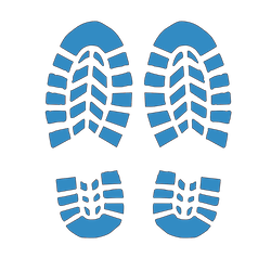 Shoes and insoles